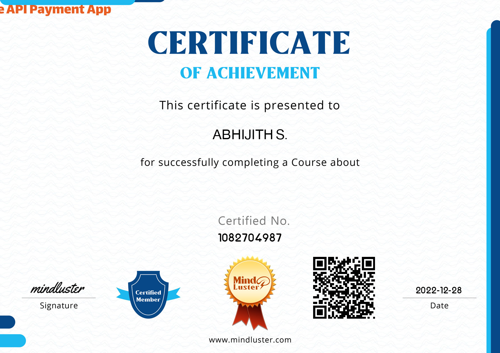 Abhijith S PHP MySQL Stripe API Payment App Mind Luster