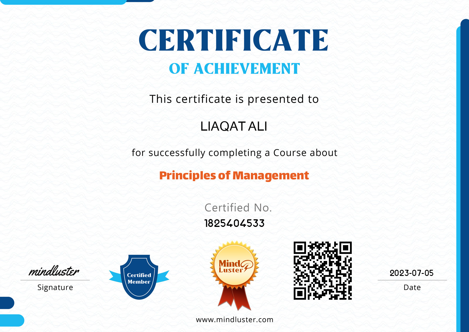 Liaqat ali principles of management mind luster