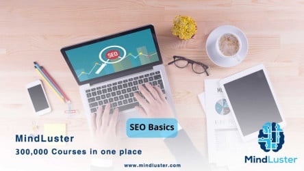 Climb the Search Engine Ladder: SEO Basics for Beginners