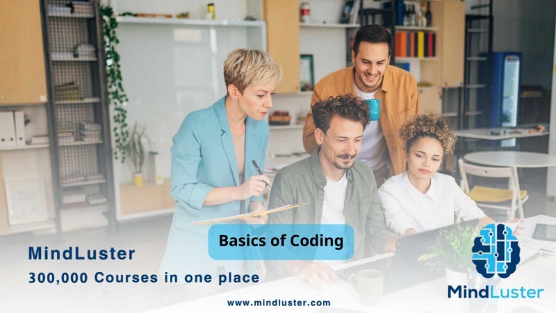 Introduction to Programming: Master the Basics of Coding and Languages