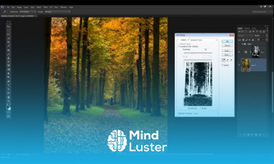 Advanced Photoshop Workshops
