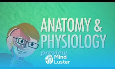 Anatomy Physiology