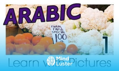Learn Arabic Vocabulary With Pictures