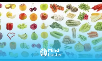 How to Lose Weight with Diet Plans