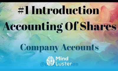 Company Accounts and Audit