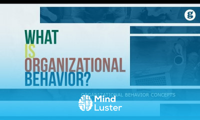 Organizational Behavior Concepts