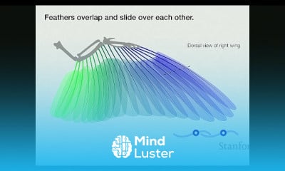 Robotics and Autonomous Systems