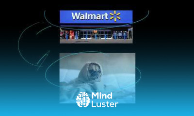 Mergers and Acquisitions M and A