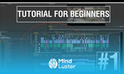 Adobe Premiere Tutorials