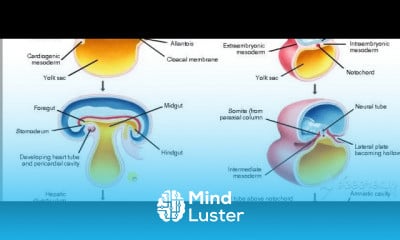 General Embryology