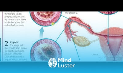 General Embryology 2