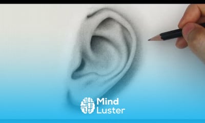 Pencil Drawing Tutorials