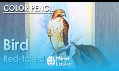 Colored Pencil Drawing