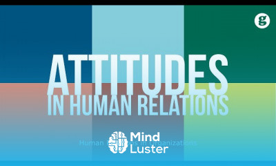 Human Relations in Organizations