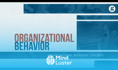 Organizational Behavior