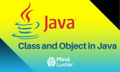 OOPs Object Oriented Programming System