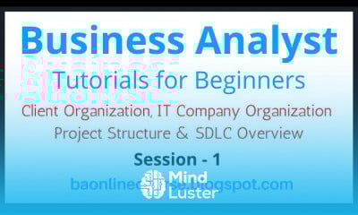 Business Analyst for Beginners Business Analyst for Beginners