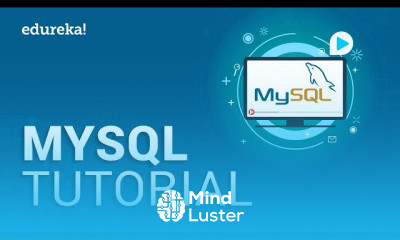 MySQL For Beginners