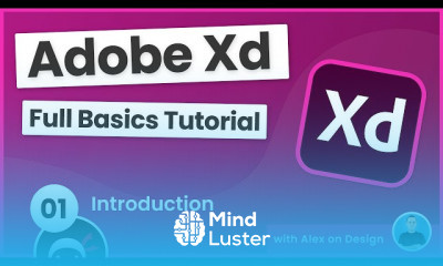 Adobe Xd for Beginners
