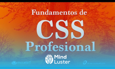 Fundamentos de CSS Profesional