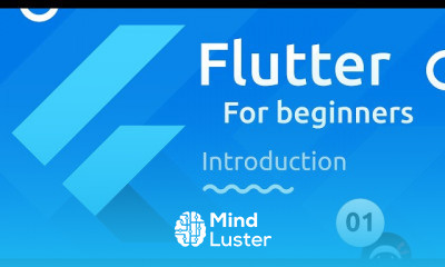 Flutter Overview
