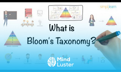 Business And Management