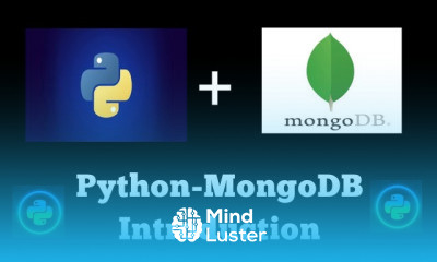 Python MongoDB
