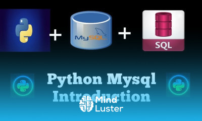 Python Mysql