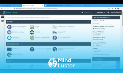 WordPress from start to professional