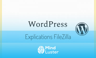 Wordpress Présentation Elemento