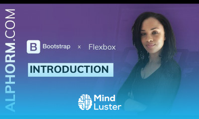 Flexbox et Bootstrap 4 Responsive