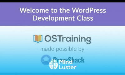 WordPress Plugin Development