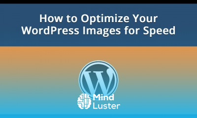How to Optimize Your WordPress