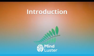 WordPress Pods Framework