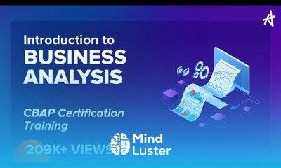 Who Is A Business Analyst