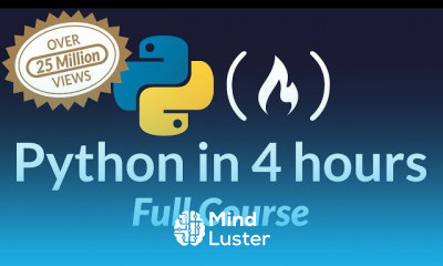 Python In 4 hours Python In 4 hours