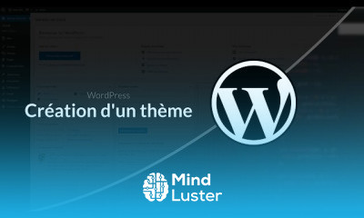 wordpress programming