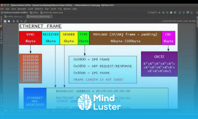 Python Network Packet