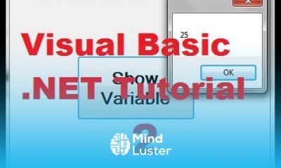 Visual Basic NET for Beginners