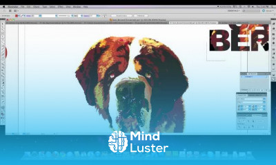 Illustrator CS5 Review