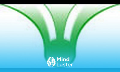 network php mysql web