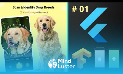 Identification using Deep