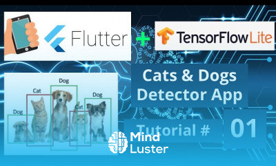 Flutter Android iOS App Lm