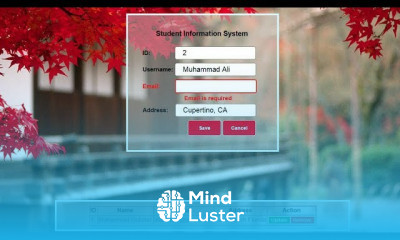 JavaScript Form Validation using Objects