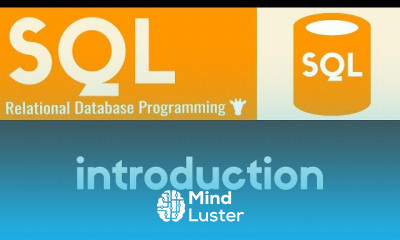 SQL Database Programming