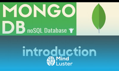 MongoDB noSQL Database
