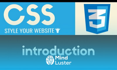 CSS Style Your Website