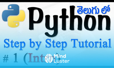 Python step by step