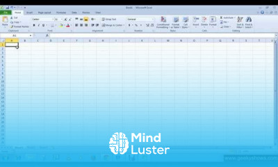 Microsoft Office Excel 2010