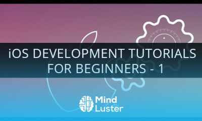 What is iOS Development